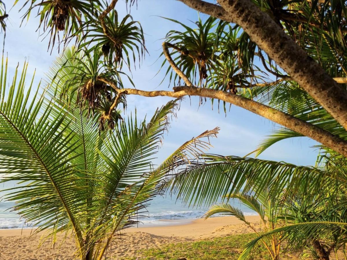 Golden Beach Paradise Tangalle Ngoại thất bức ảnh