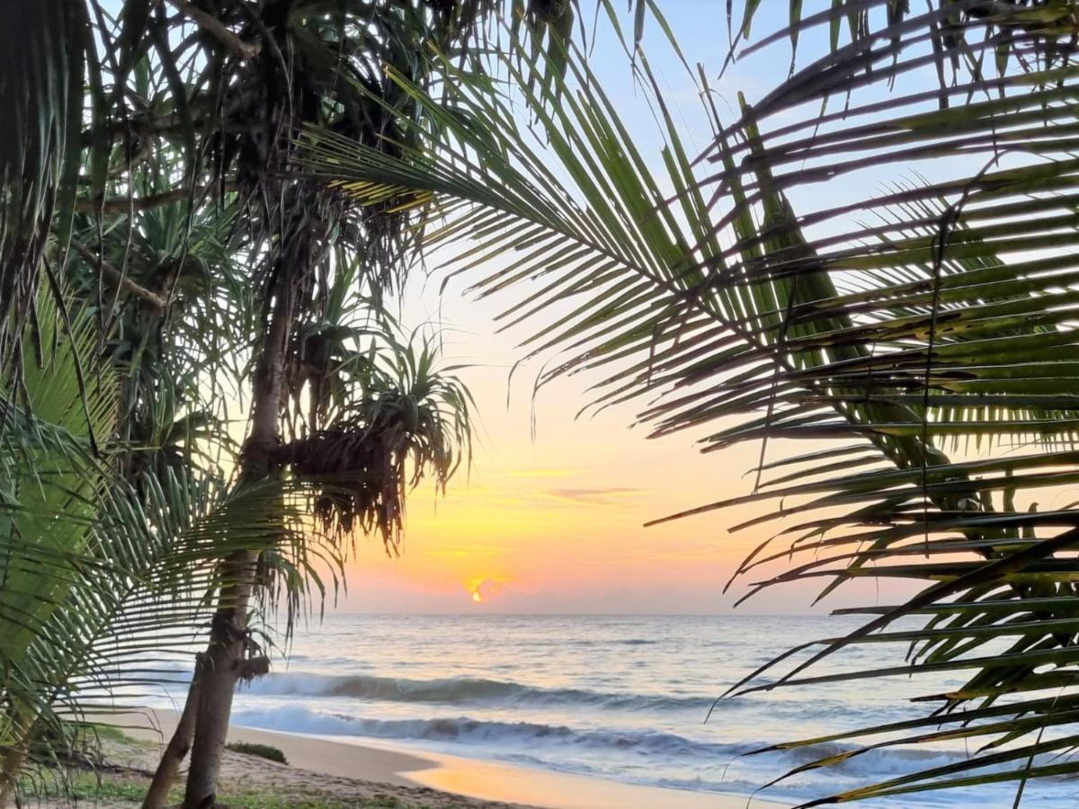 Golden Beach Paradise Tangalle Ngoại thất bức ảnh