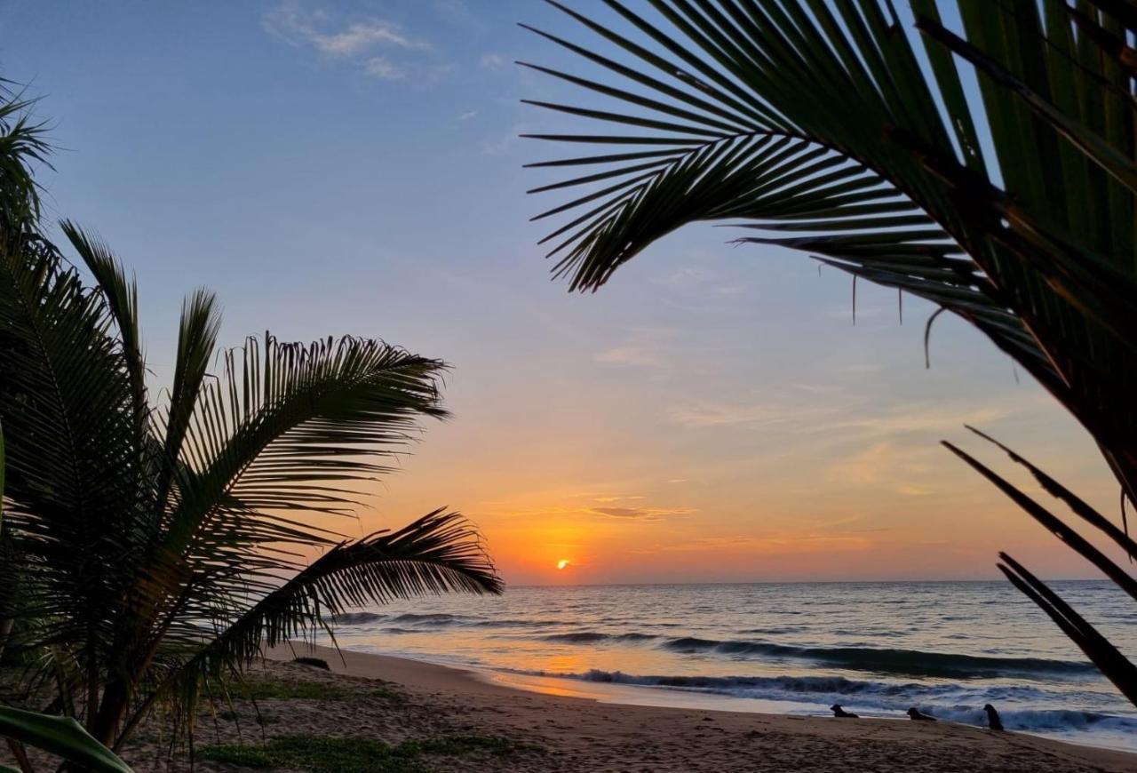 Golden Beach Paradise Tangalle Ngoại thất bức ảnh